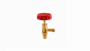 Manufacturer of Brass LPG Valves